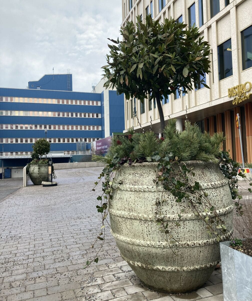 utekrukor
stora krukor
frosttåliga krukor
planteringskärl